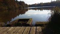 L'étang du Brossillon